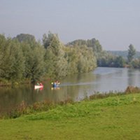 pic215.jpg
