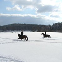 pic323.jpg