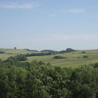 pic322.jpg